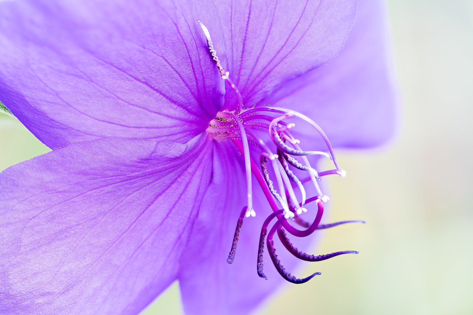 2020 12 20 22 46 40 (C,Smoothing4) Edit